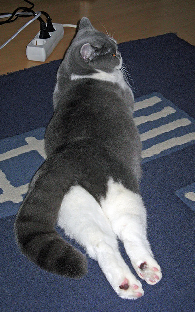 九游电竞站-广场舞促进老年人身心健康，广场舞促进老年人身心健康的舞蹈